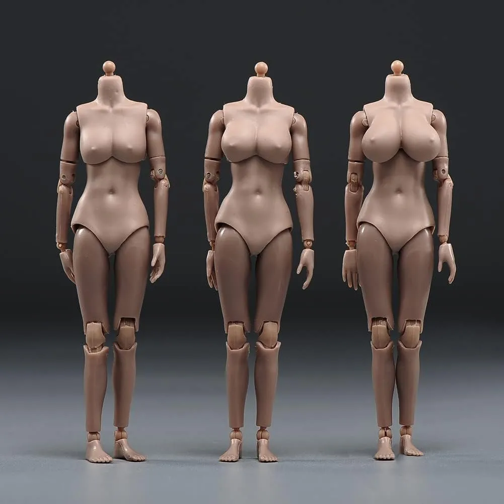 1/12 Scale Female Action Figure Body, 6 inches Flexible Ball Joint Female Action Figure Body Doll Model Collectible (Suntan Skin - Small Bust)