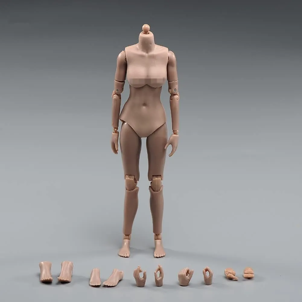 1/12 Scale Female Action Figure Body, 6 inches Flexible Ball Joint Female Action Figure Body Doll Model Collectible (Suntan Skin - Small Bust)