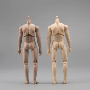1/12 Scale Male Action Figure Body, 6 Inch Flexible Ball-Joint Muscular Body Man Aciton Figure, 1/12 Strong Muscle Man Figure Model with Neck Connectors (Normal Skin)