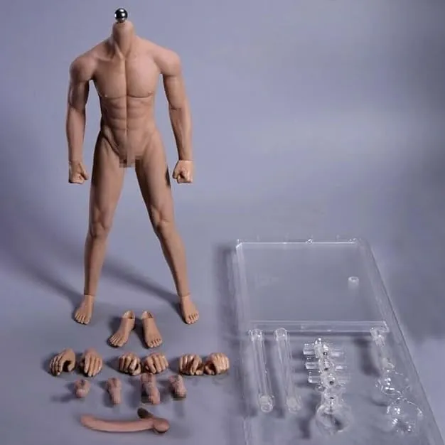 1/6 Scale Male Action Figure Body, 12 inches Seamless Flexible Muscle Man Aciton Figure Model, 1/6 Strong Male Action Figure with Detachable Hands & Feet Shapes & Various Accessories (Normal Skin)