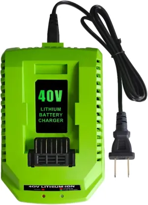 40V 2A Replacement Battery Charger Compatible with Greenworks 40V Battery Lithium Ion 29482 29462 29472 2901319 2938302 BAF702 L-300 BAF704 BAF705 40V G-MAX Power Tool 29252 20202 22262