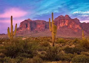 BELECO 7x5ft Fabric Arizona Desert Backdrop for Photography Western Party Decor Blue Sky Sand Dunes Prickly Cactus Saguaro Wilderness Mountain Background Cowboys Children Adult Portrait Photo Shoot