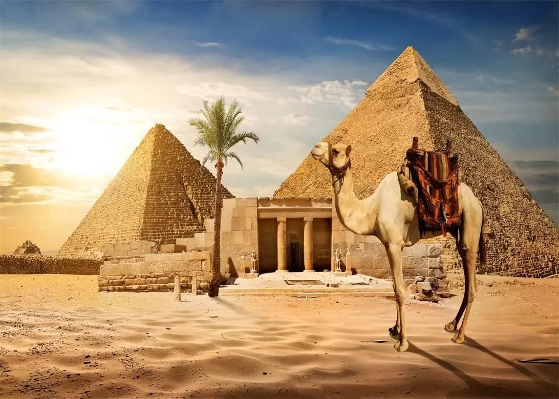 BELECO 8x6ft Fabric Pyramids Backdrop Photography Ancient Egyptian Pyramid Camel Backdrop Giza Desert Scene Coconut Tree Sunset Sky Background Nature Wallpaper Africa Desert Travel Photo Shoot Props