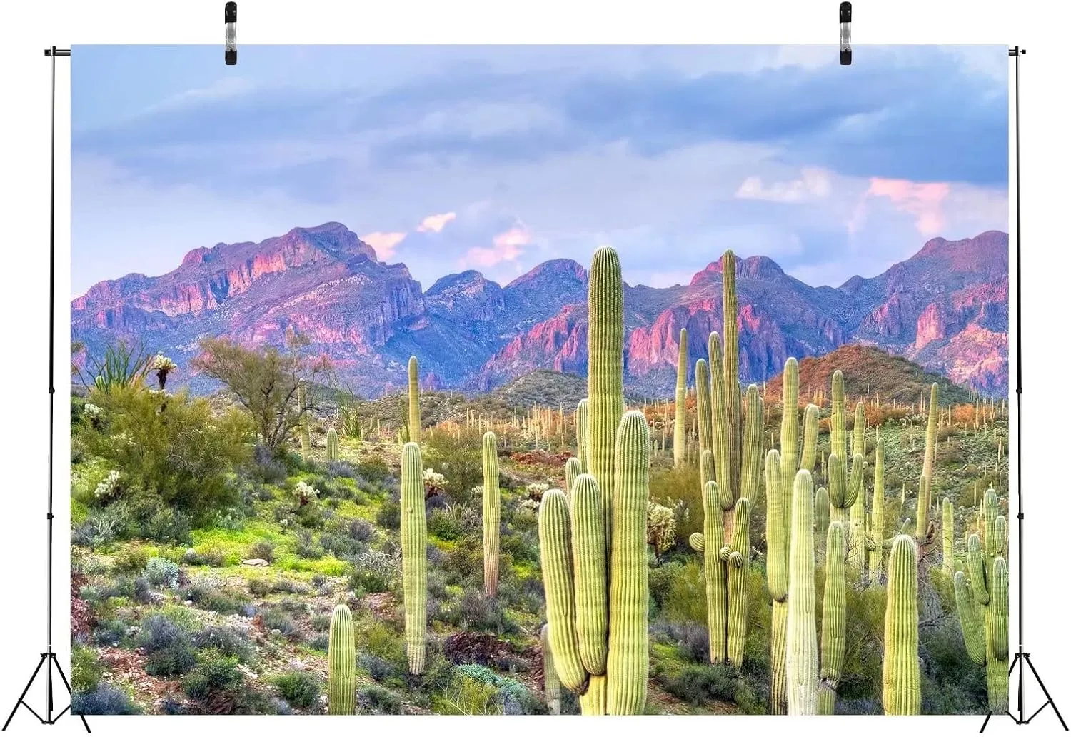 BELECO 9x6ft Fabric National Park Arizona Desert Backdrop Saguaro Cactus Photo Background Mountain Desert Sunset Sky Scenery Nature Backdrop Mexican Western Themed Party Decorations Studio Props