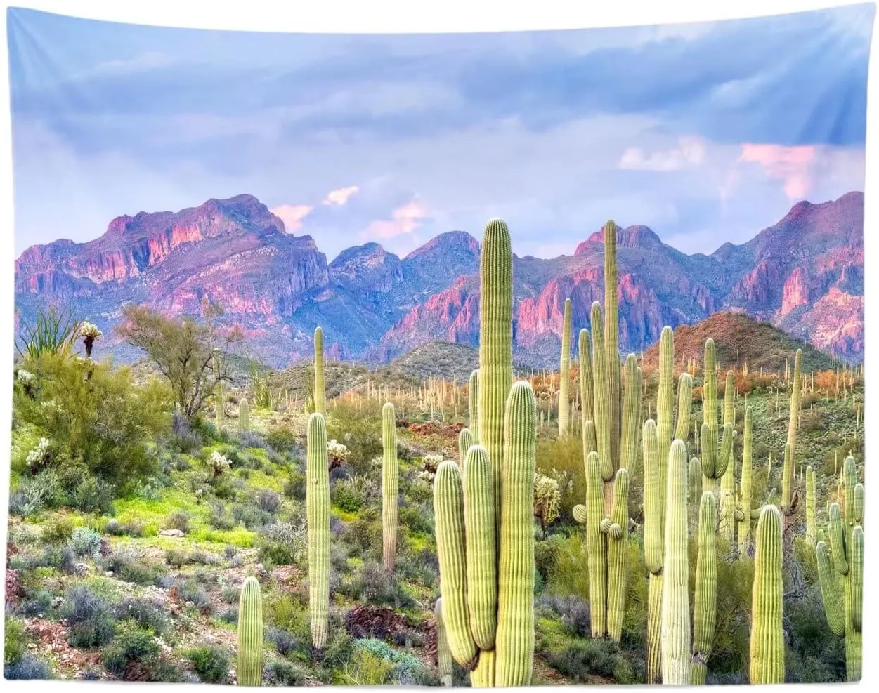 BELECO 9x6ft Fabric National Park Arizona Desert Backdrop Saguaro Cactus Photo Background Mountain Desert Sunset Sky Scenery Nature Backdrop Mexican Western Themed Party Decorations Studio Props