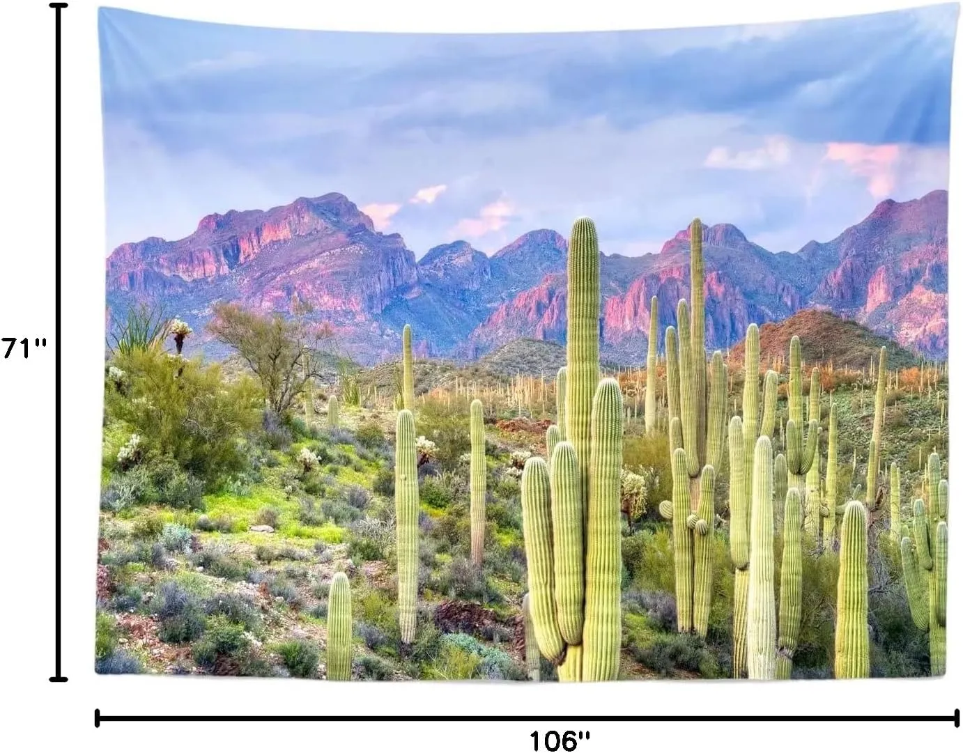 BELECO 9x6ft Fabric National Park Arizona Desert Backdrop Saguaro Cactus Photo Background Mountain Desert Sunset Sky Scenery Nature Backdrop Mexican Western Themed Party Decorations Studio Props