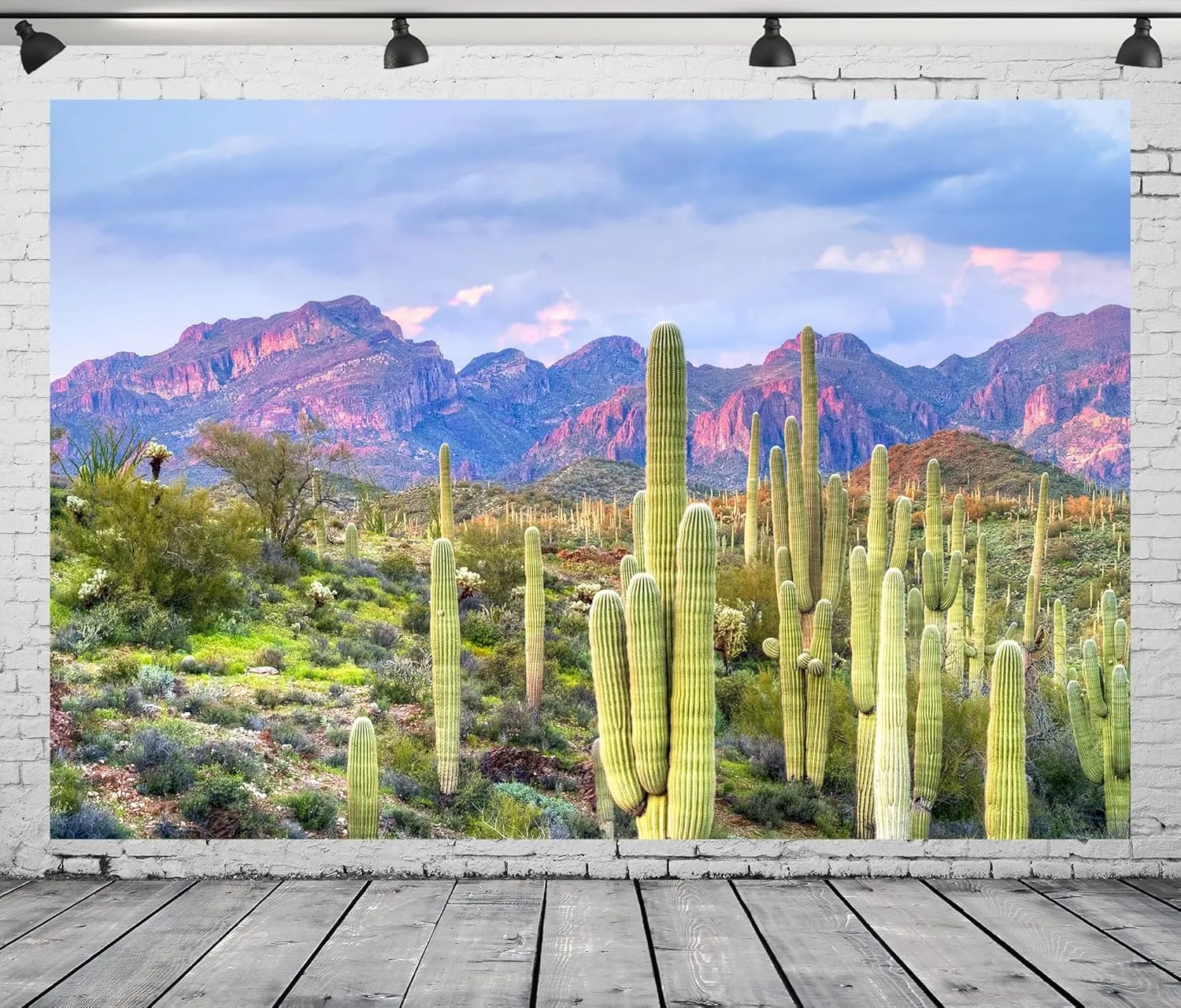 BELECO 9x6ft Fabric National Park Arizona Desert Backdrop Saguaro Cactus Photo Background Mountain Desert Sunset Sky Scenery Nature Backdrop Mexican Western Themed Party Decorations Studio Props