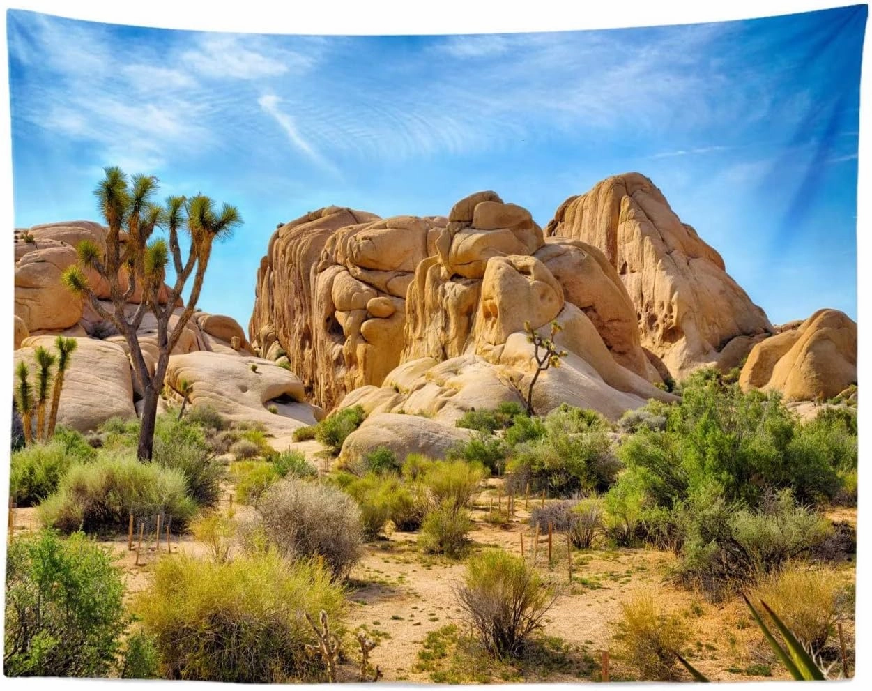 BELECO 9x6ft Fabric Desert Backdrop Joshua Tree National Park Photography Backdrop Odd Trees Rocky Mountains Natural Scenery Holiday Background Hiking Camping Pictures Home Decor Photo Studio Props
