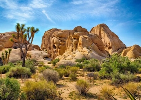 BELECO 9x6ft Fabric Desert Backdrop Joshua Tree National Park Photography Backdrop Odd Trees Rocky Mountains Natural Scenery Holiday Background Hiking Camping Pictures Home Decor Photo Studio Props