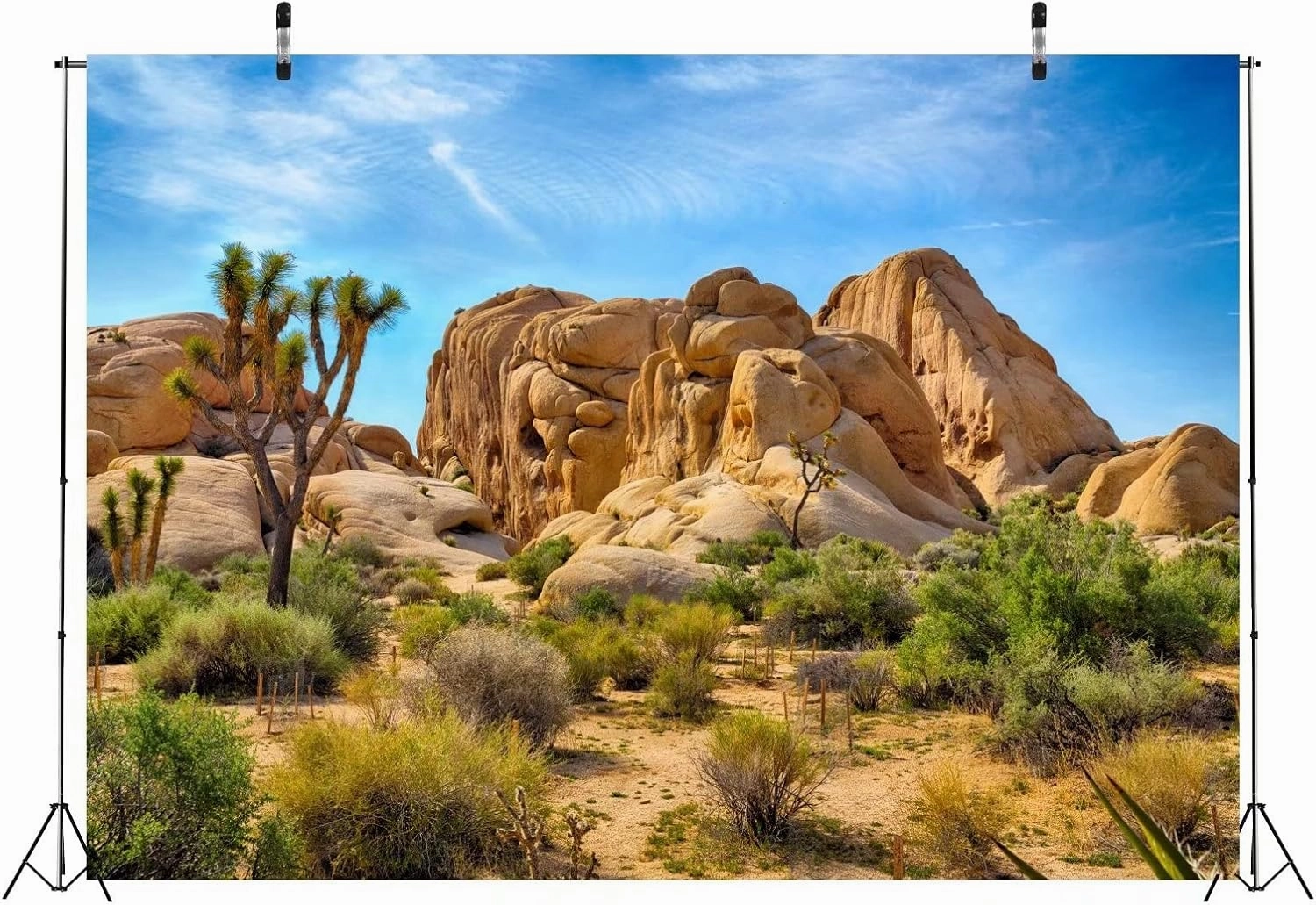 BELECO 9x6ft Fabric Desert Backdrop Joshua Tree National Park Photography Backdrop Odd Trees Rocky Mountains Natural Scenery Holiday Background Hiking Camping Pictures Home Decor Photo Studio Props