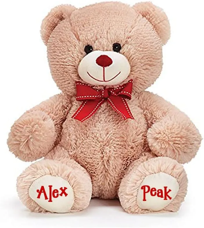 burton BURTON Personalized Valentine's Day Teddy Bear - Plush Stuffed Animal Toy with Custom Name