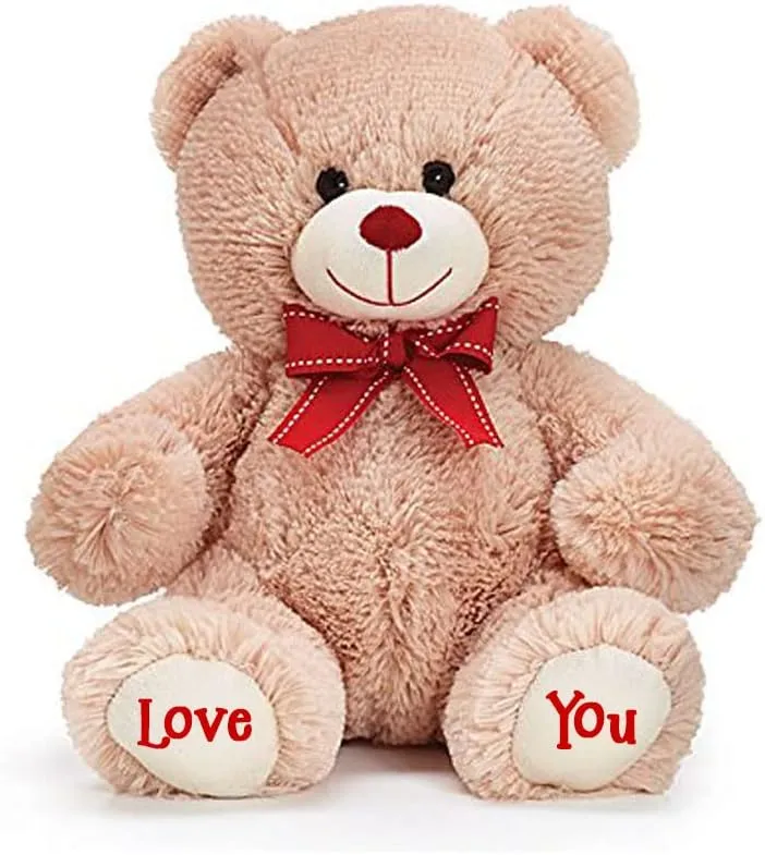 burton BURTON Personalized Valentine's Day Teddy Bear - Plush Stuffed Animal Toy with Custom Name