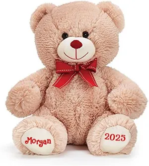 burton BURTON Personalized Valentine's Day Teddy Bear - Plush Stuffed Animal Toy with Custom Name
