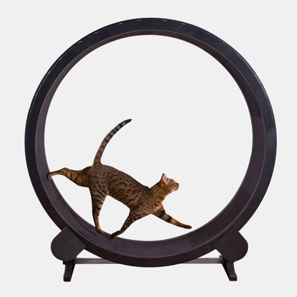 Cat Running Wheel Cat Treadmill for Fitness and Weight Loss, Cat Roller for Grinding Claws, Silent Pet Treadmill for Cats, Cat Toys Cat Exercise Wheel