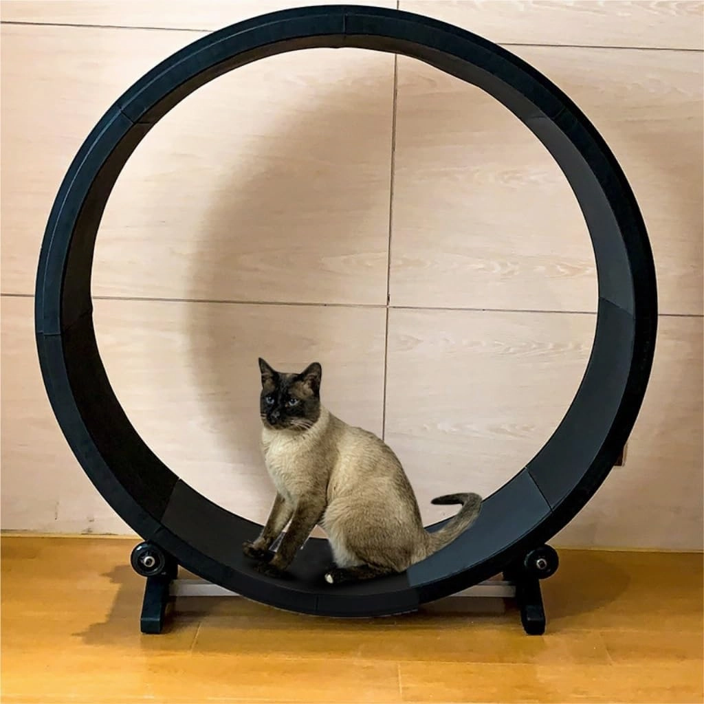 Cat Running Wheel Cat Treadmill for Fitness and Weight Loss, Cat Roller for Grinding Claws, Silent Pet Treadmill for Cats, Cat Toys Cat Exercise Wheel