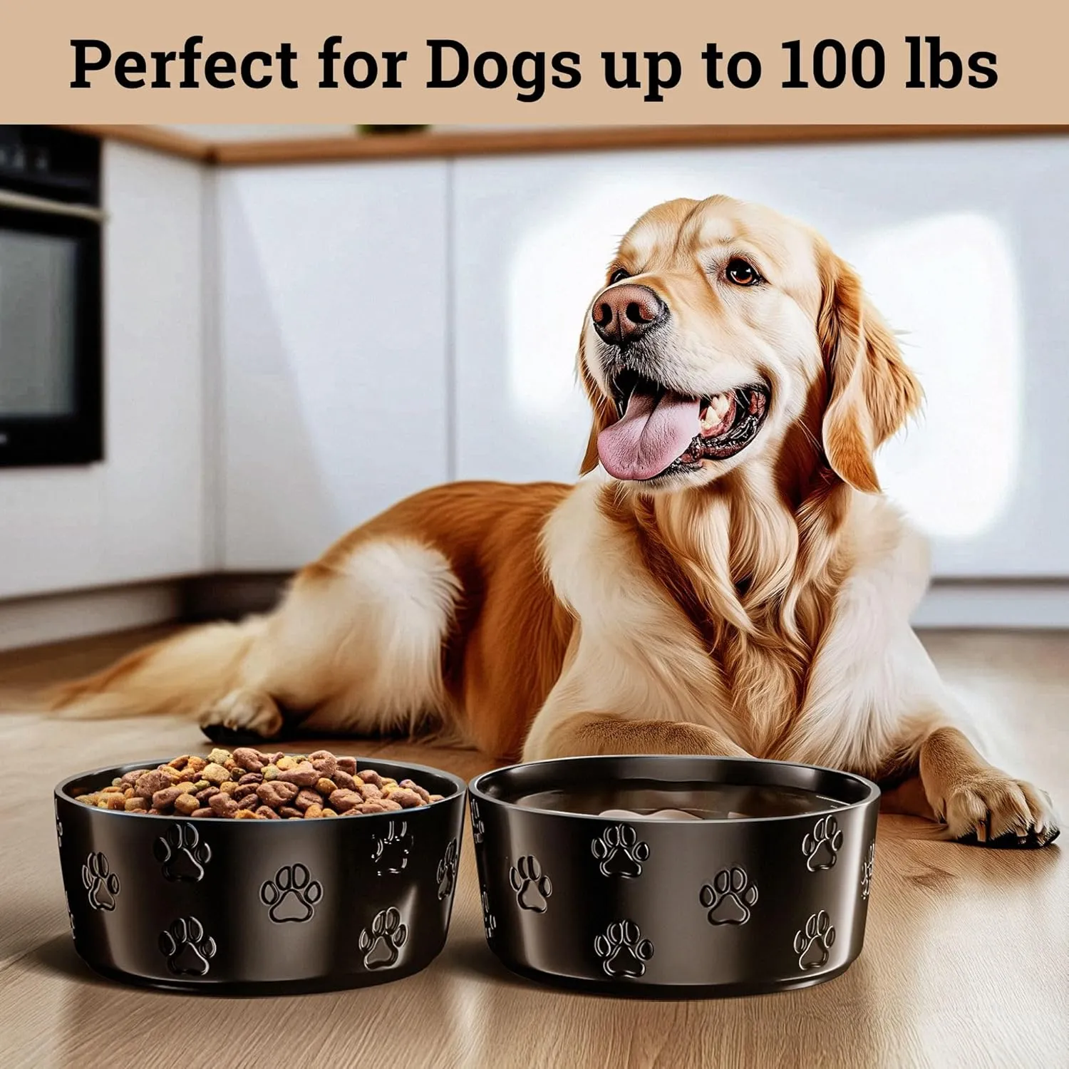 Ceramic Dog Bowl Set of 2 with Anti-Skid Base - 7.5" Wide x 3" Tall Ceramic Dog Bowls for Large Dogs - 5 Cup Capacity Food and Water Bowls for Dogs - Rubber Bottom Pet Bowl Set of 2 for Large Pets