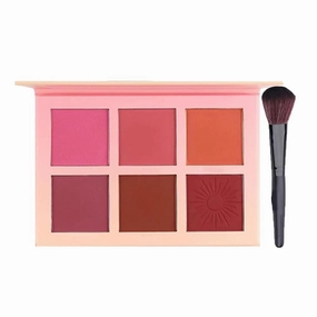 Conchita Blush Palette, Conchita Matte Blush Powder, Conchita Blush Palette Powder, Conchita Blush Palette for Cheeks, 6 Colors Blush Palette Cheek Blush Powder (B)