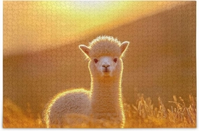 Cute Alpaca Grassland Sunset Jigsaw Puzzle 500 Piece, Educational Intellectual Decompression Puzzle Game Jigsaw Puzzle for Adult Active Thinking Party Entertainment, Family Games