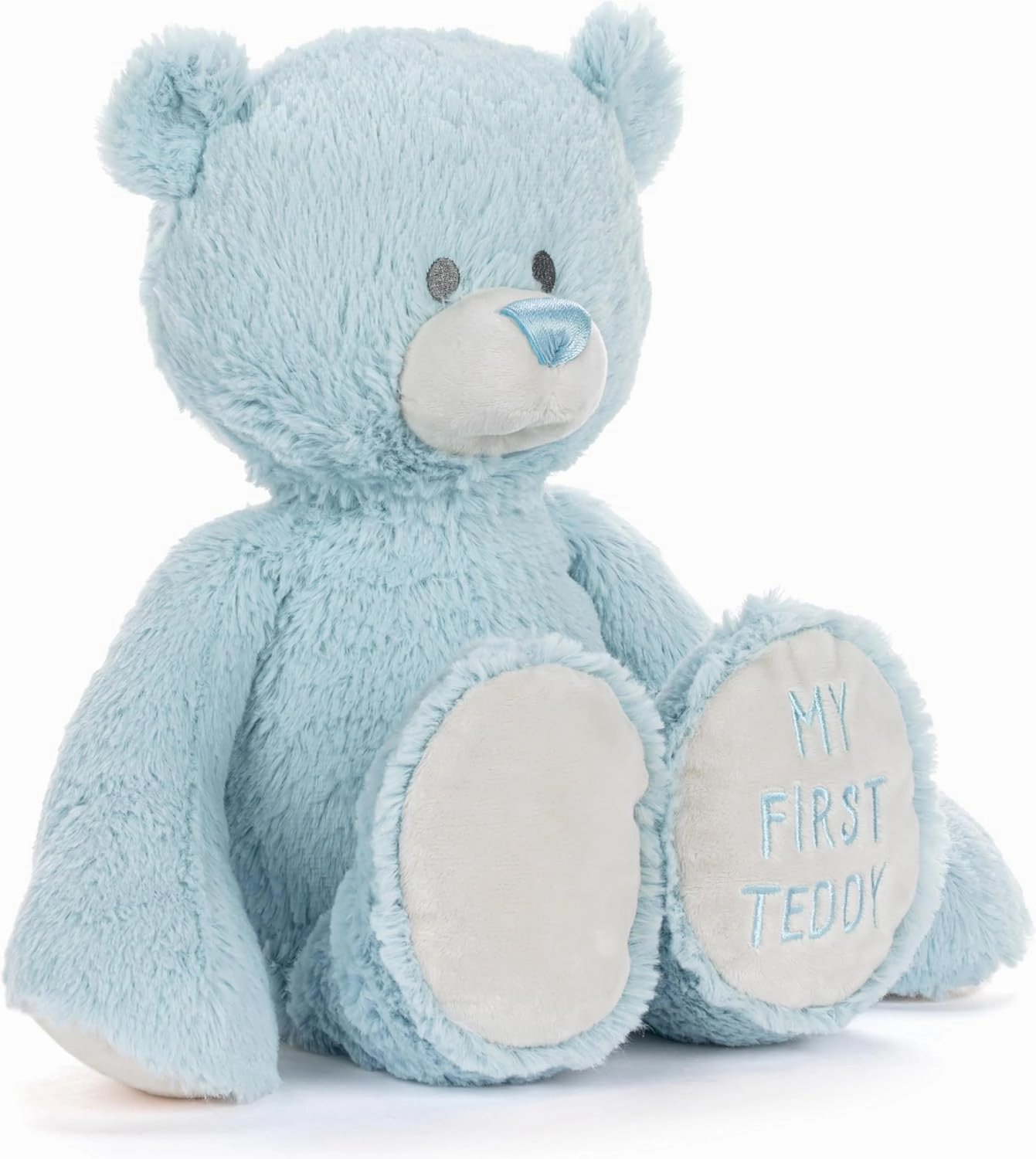 DEMDACO Welcome to The World, 12 x 11 Inch, Ultra Soft Polyester, Huggable, Cuddly, Toy, Stuffed Plush Animal, Blue, My First Teddy Bear