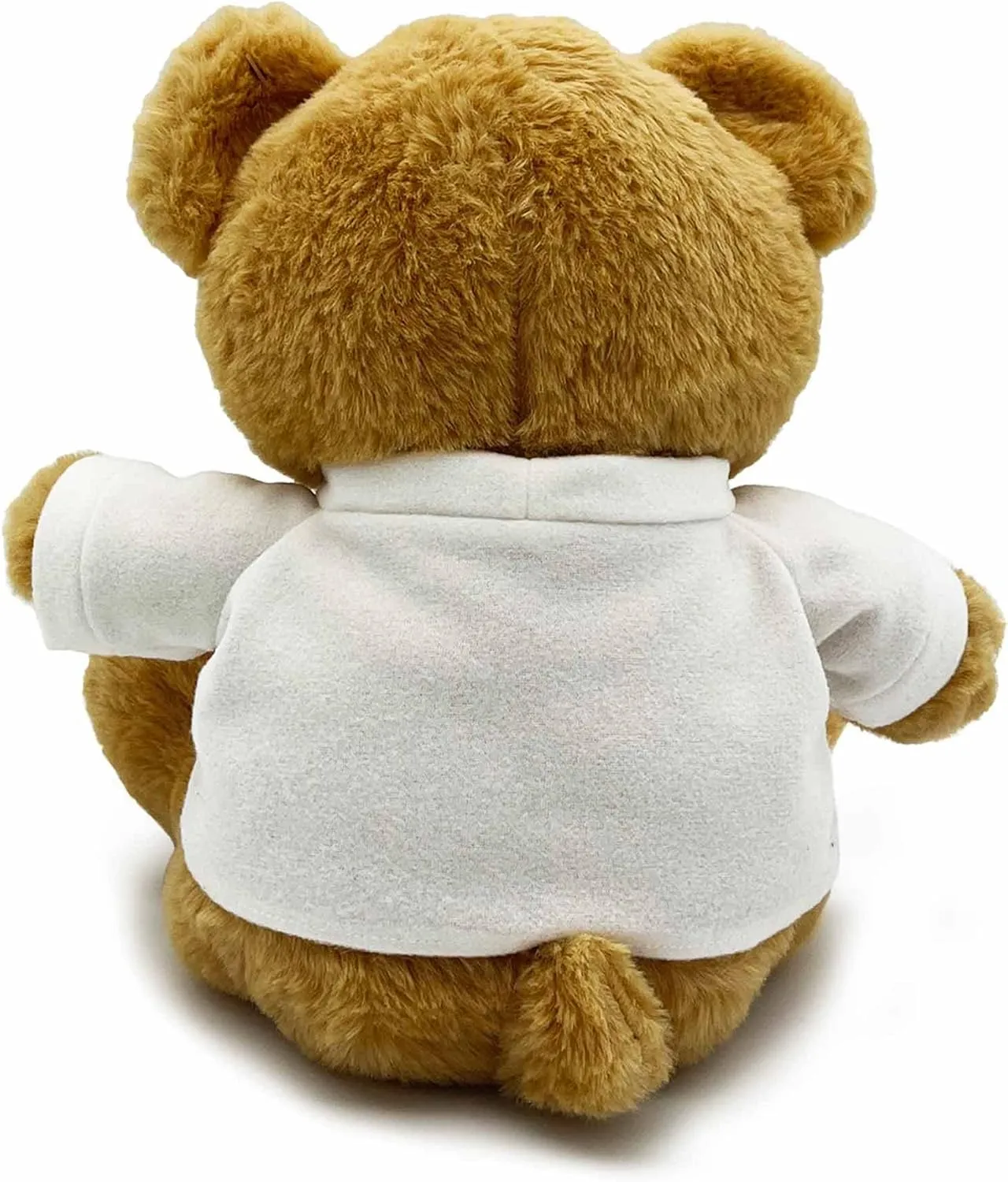 DIBSIES Personalized Teddy Bear (You and I Two Names)