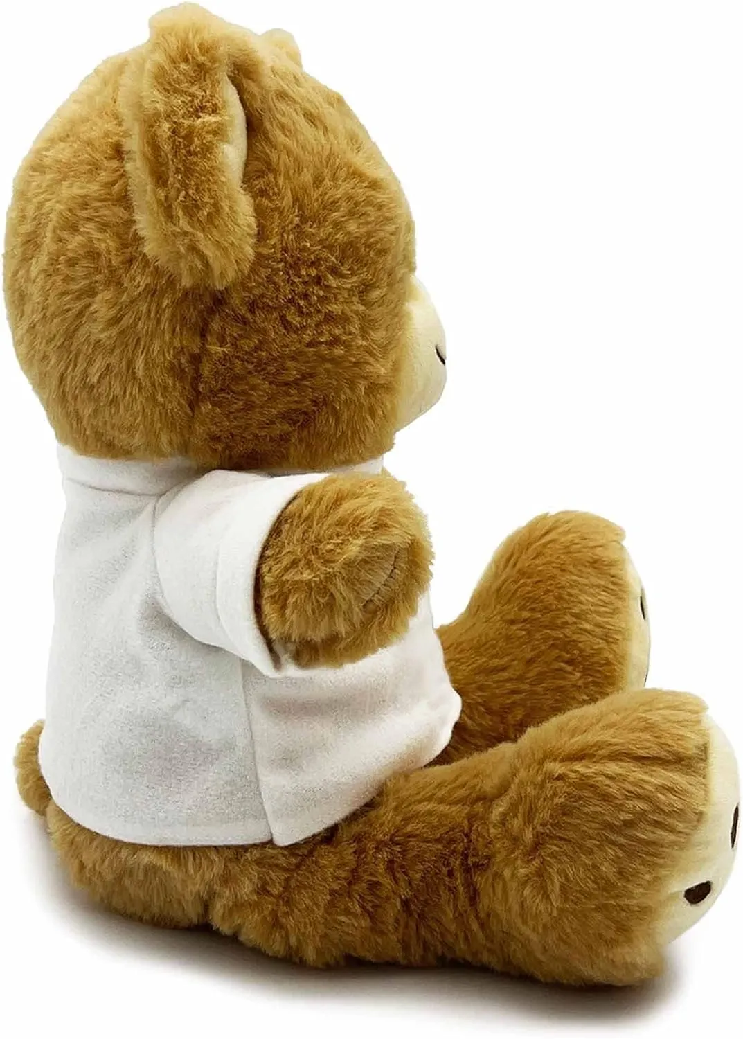DIBSIES Personalized Teddy Bear (You and I Two Names)