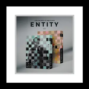 DREAMUS Astro Cha Eunwoo Entity 1st Mini Album CD Folding Poster on Pack Photobook Photocard Sticker DIY Entity Accordion Lyric Paper Tracking Sealed EUN WOO (Set(Each Equal))
