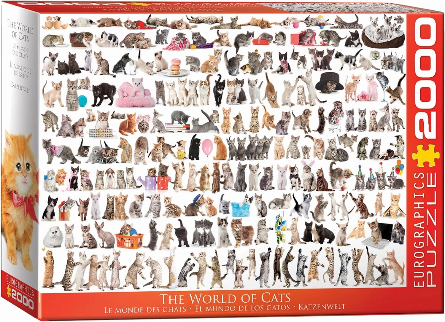 EuroGraphics The World of Cats Puzzle (2000-Piece) (8220-0580)