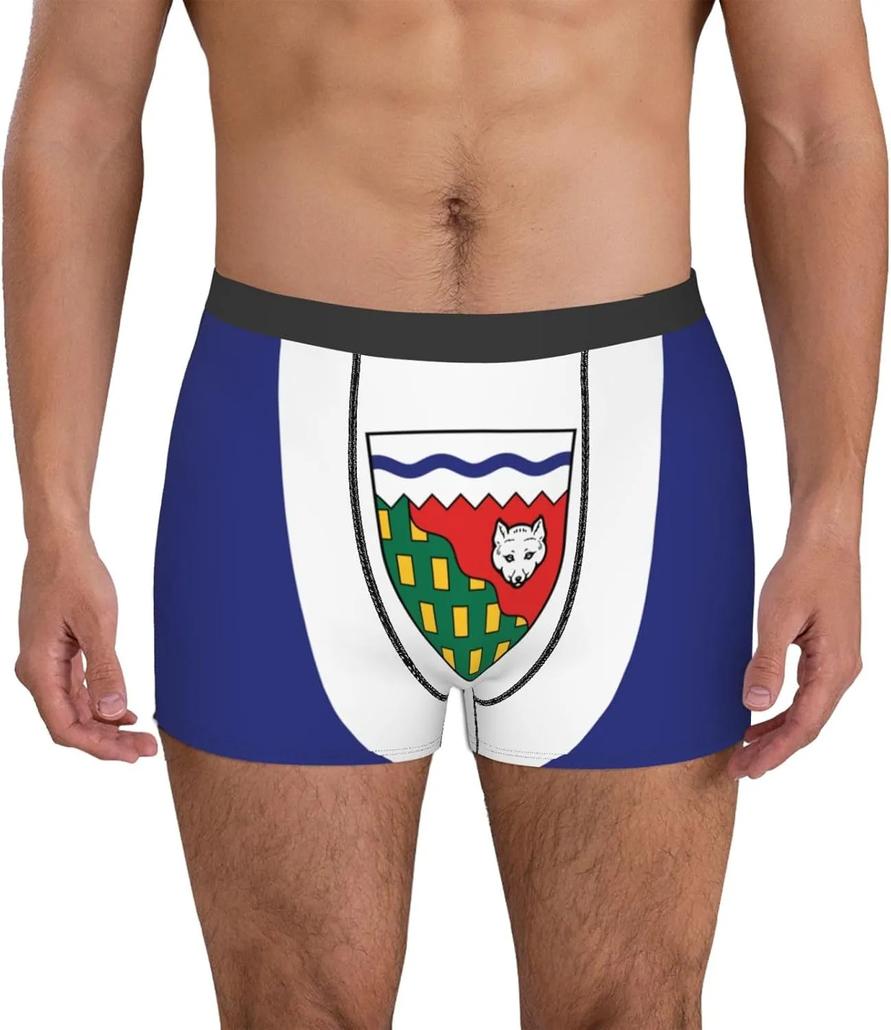 Flag of the Northwest Territories Mens Underwear Boxer Briefs Soft Elastic Breathable Boxers for Men