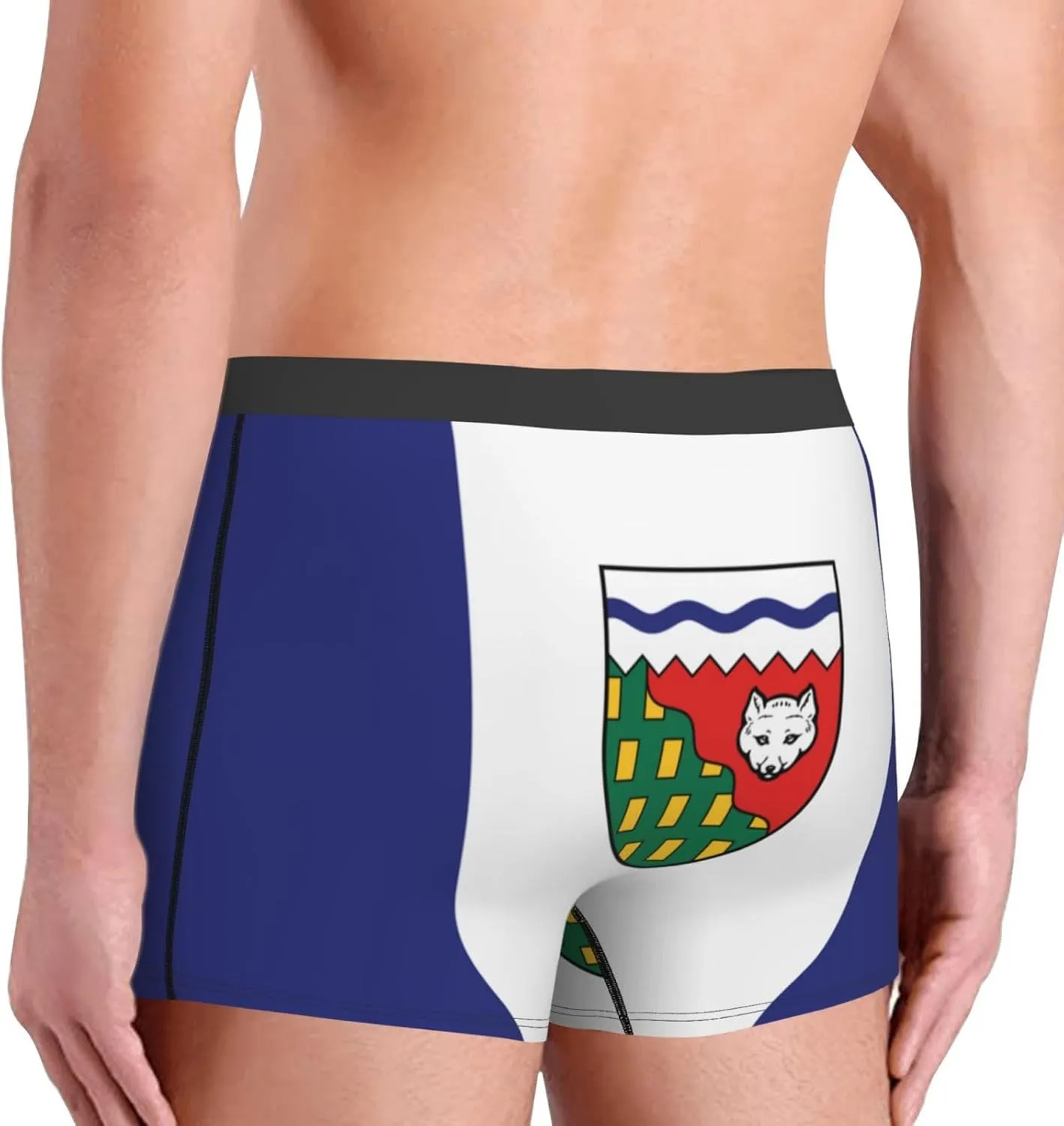 Flag of the Northwest Territories Mens Underwear Boxer Briefs Soft Elastic Breathable Boxers for Men