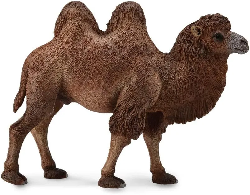Futako Camel 88807