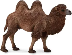 Futako Camel 88807