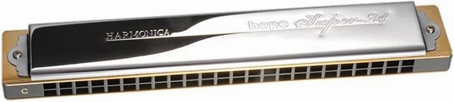 Harmonica Harp 24 Holes Mouth Organ Professional(B)