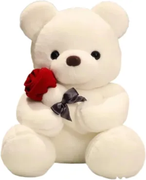 HAYZZ Plush Stuffed Teddy Bear Valentines Gift Stuffed Animal Plush Toy Rose Adults and Kids Valentine’s Day Gift (White)