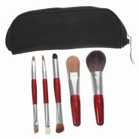 Makeup Brush Set 5-piece Mini Brush Kit Makeup Case Portable for Women Blush Eyeshadow