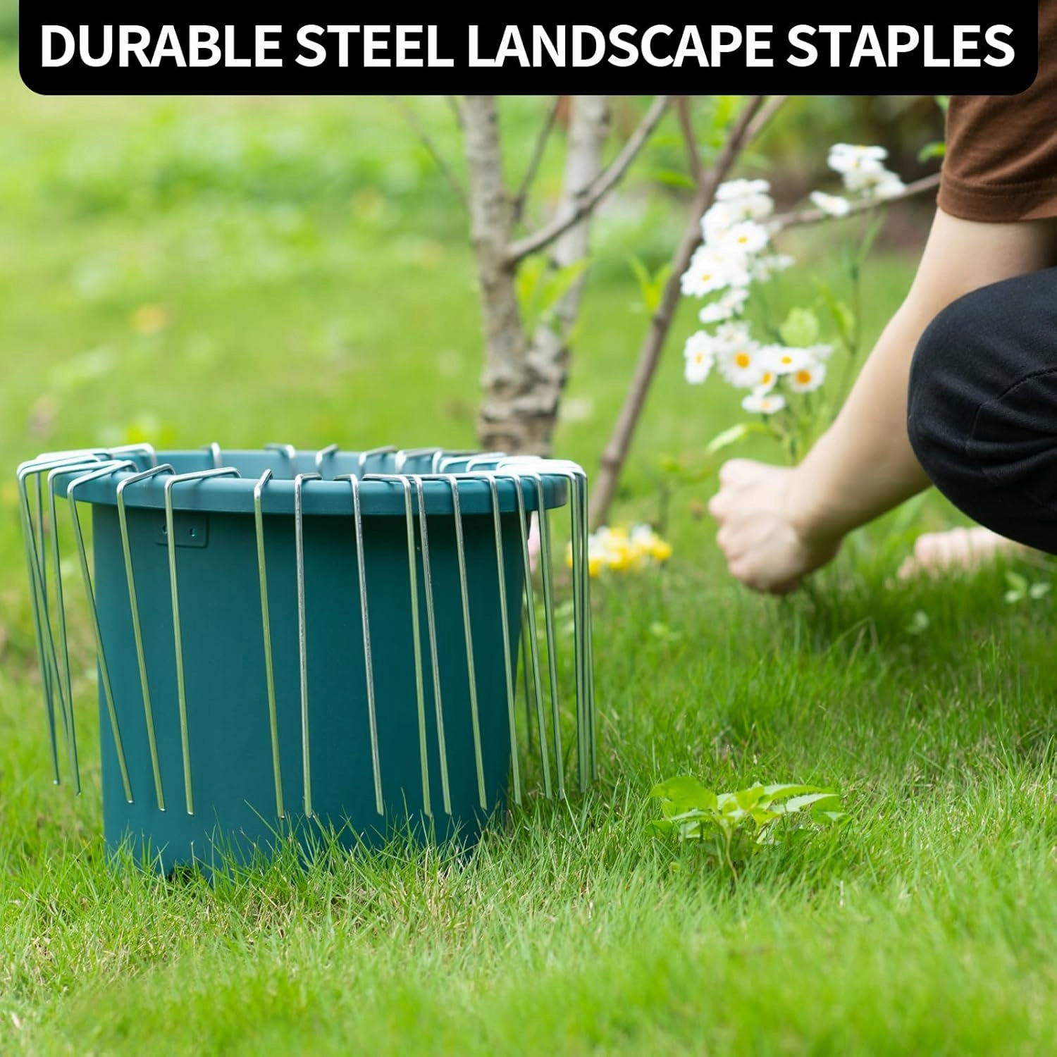 MAT-7 BANQUET Galvanized Landscape Staples 6 Inch 120 Pack 11 Gauge Garden Stakes Landscape Pins U-Shaped Heavy Duty Sod Weed Barrier Fabric Garden Fencing Plants Edging Landscaping Yard