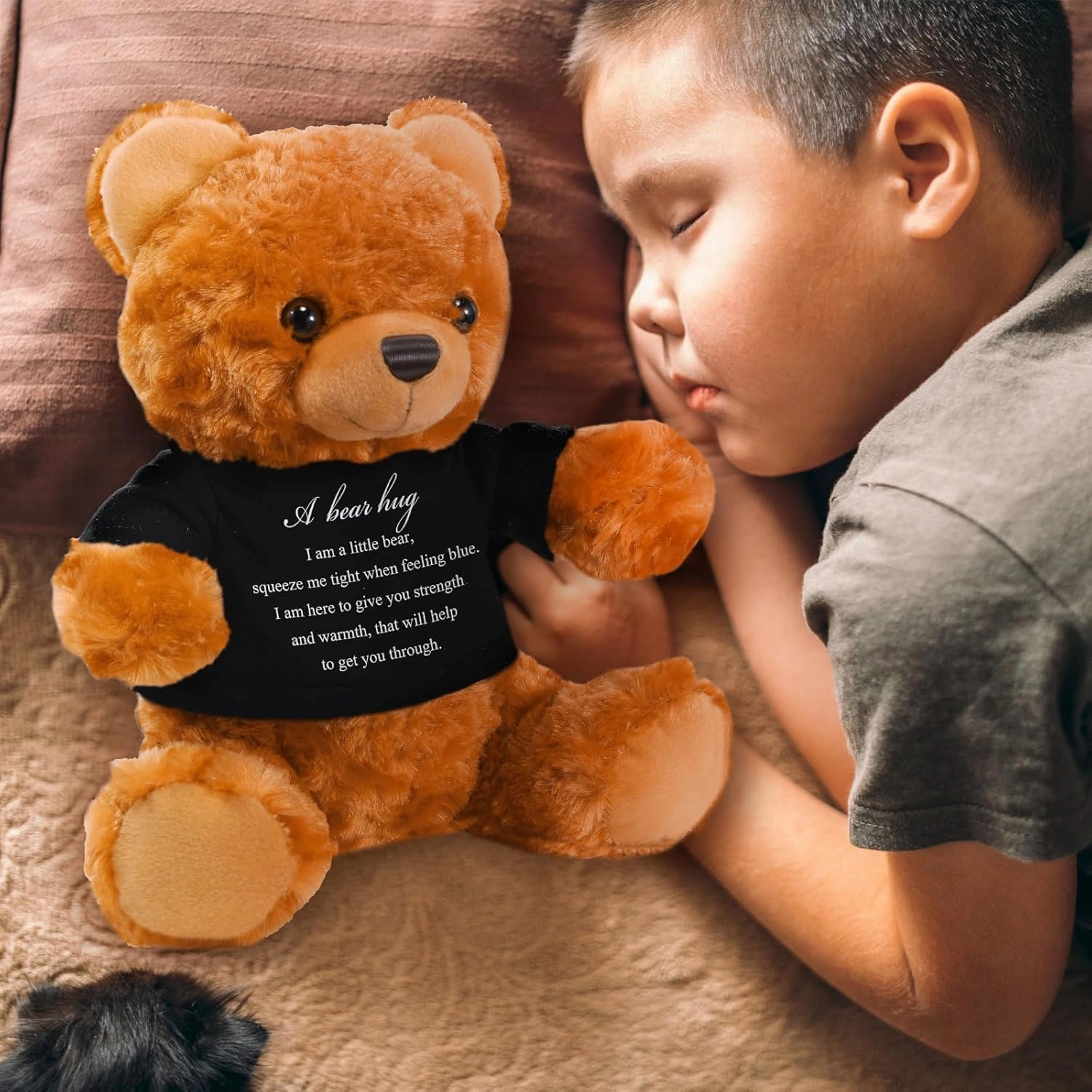 Meooeck Bear Plush Stuffed Animal Sympathy Gift with a Bear Hug Sign Clothing Hug Gift for Kids Condolences Memorial Comfort Loss of Loved One(Brown, Black)