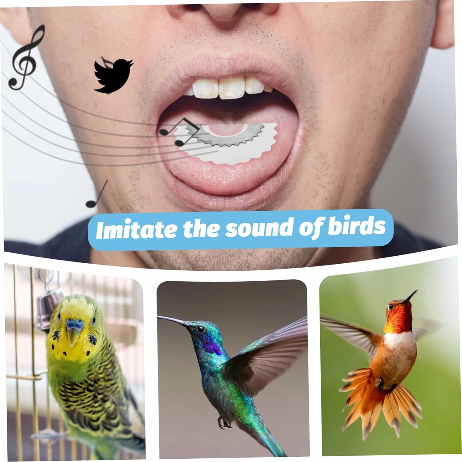 Mikinona 10Pcs Bird Whistle Novelty Music Educational Whistle Warbler Noisemaker for Adults Fun Bird Caller Instrument Great for Bird Sounds and Music Play