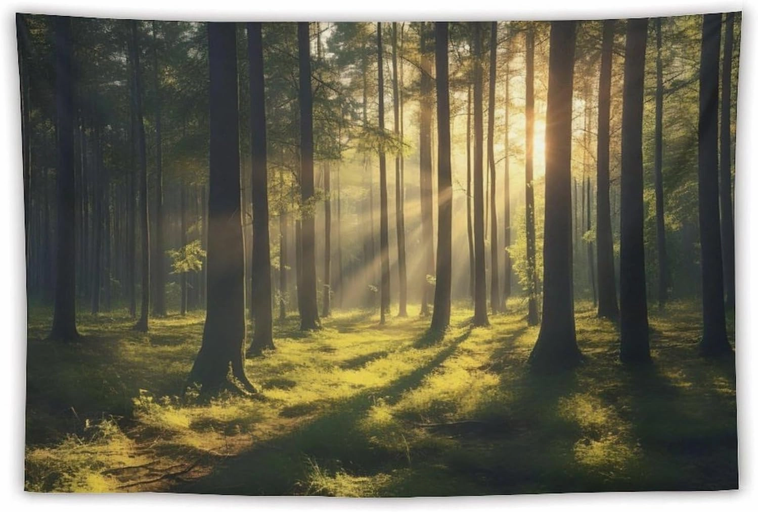 OACPCAO Forest Tapestry Wall Hanging Decor, Art Aesthetic Blanket - Large Polyester Backdrop for Bedroom, Living Room, Dorm (Forest Sun, 60"x90")