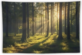 OACPCAO Forest Tapestry Wall Hanging Decor, Art Aesthetic Blanket - Large Polyester Backdrop for Bedroom, Living Room, Dorm (Forest Sun, 60"x90")