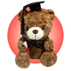 Personalized Graduation Teddy Bear - Graduation 10" Teddy Bear Gift - Graduation Cap and Gown Gift for Kids - Kids Cap and Gown - Preschool and Kindergarten Graduation Gifts by Kikilishop