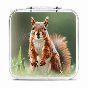 QMNBTES Cute Squirrels Switch Game Case Switch Game Holder Cartridge Case Storage 12 Games & 2 Micro Sd Card Slots, Travel Carry Cases, Portable Games Card Storage, Hard Shell, Buckle Closure