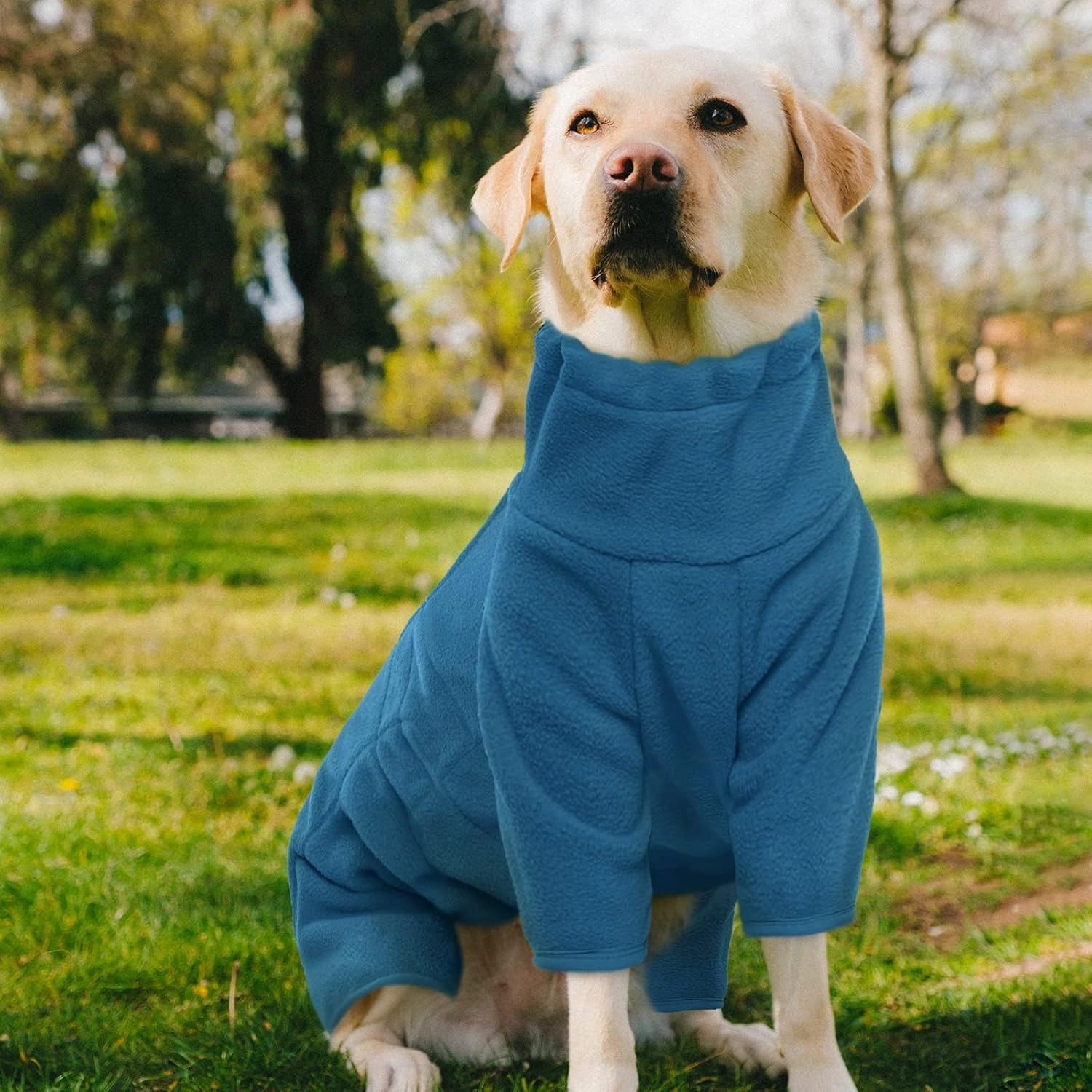 ROZKITCH Dog Winter Coat Soft Fleece Pullover Pajamas, Pet Windproof Warm Cold Weather Jacket Vest Cozy Jumpsuit Apparel Outfit Clothes for Small Medium Large Dog Walking Sleep M