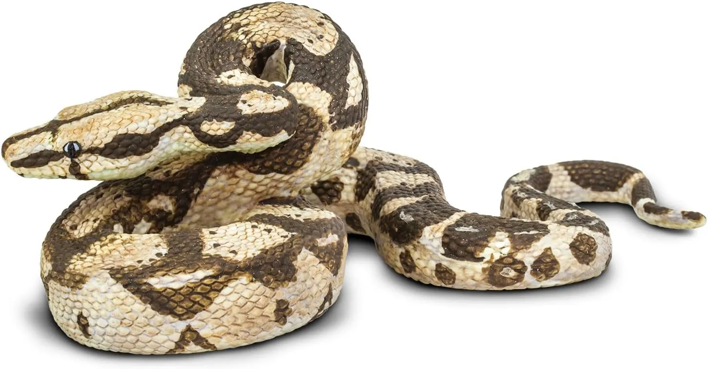 Safari Ltd. Boa Constrictor Figurine - Realistic 6" Snake Figure - Educational Toy for Boys, Girls, and Kids Ages 3 