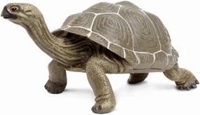 Safari Ltd. Tortoise Figurine - Detailed 8.5" Plastic Model Figure - Fun Educational Play Toy for Boys, Girls & Kids Ages 18 Months 