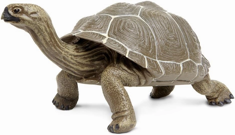 Safari Ltd. Tortoise Figurine - Detailed 8.5" Plastic Model Figure - Fun Educational Play Toy for Boys, Girls & Kids Ages 18 Months 
