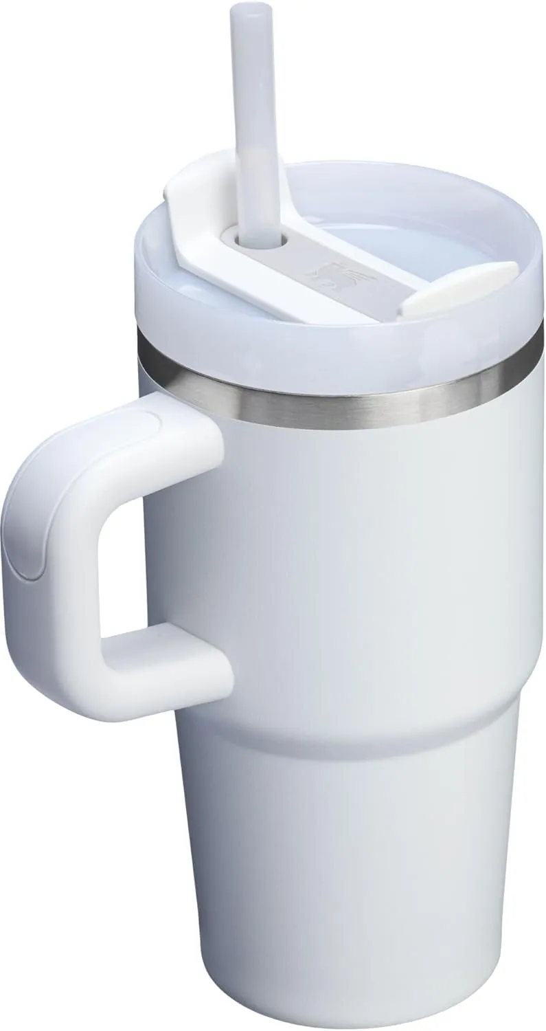 Stanley Quencher H2.0 Tumbler with Handle and Straw 20 oz | Flowstate 3-Position Lid | Cup Holder Compatible for Travel | Insulated Stainless Steel Cup | BPA-Free | Frost