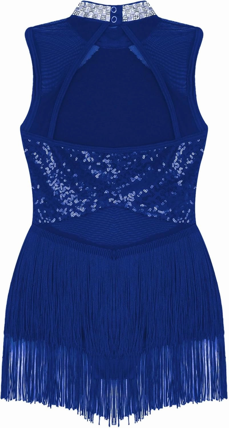 TiaoBug Kids Girls Rhinestone Sequins Leotard Tassel Dress Latin Jazz Modern Samba Tango Dance Ballroom Dancewear