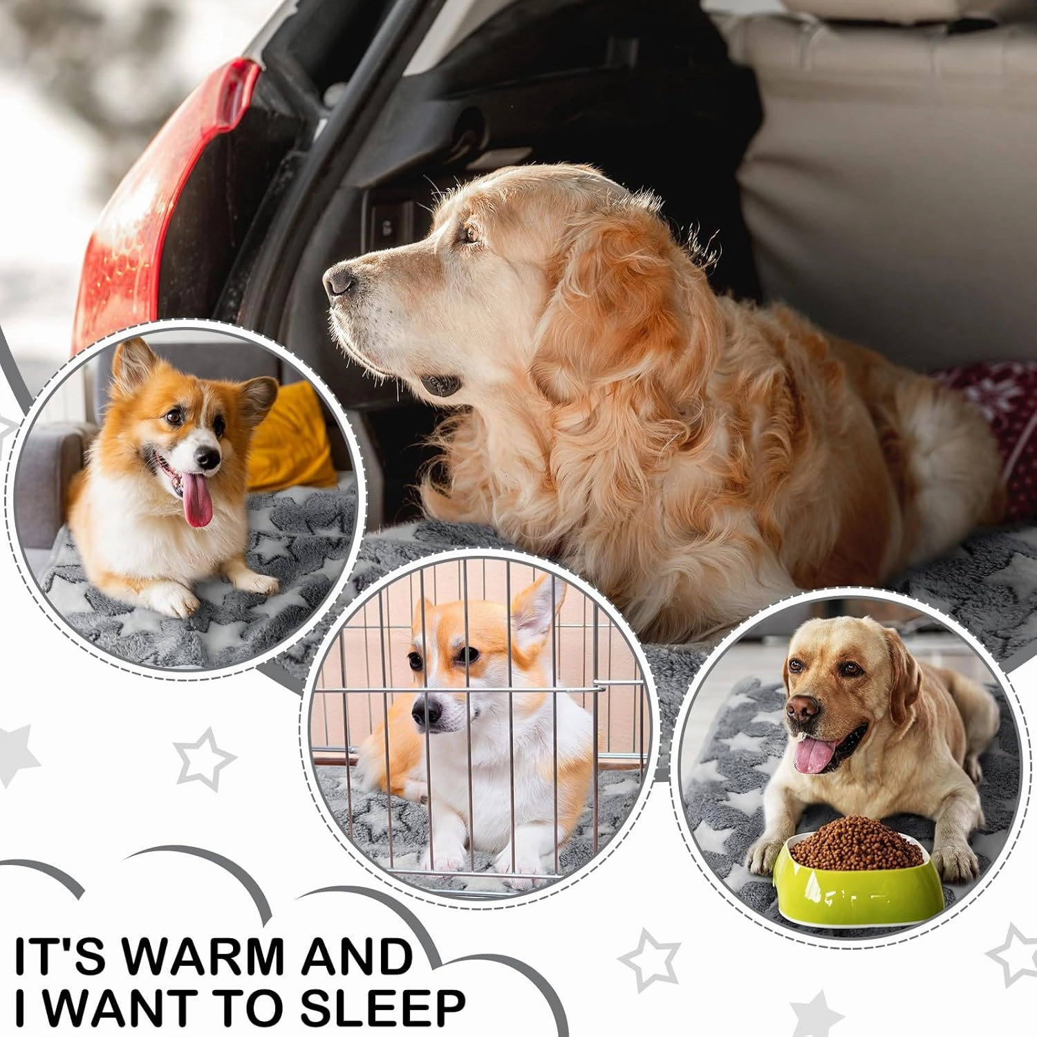 Tranqun 4 Pcs Waterproof Dog Blankets 30 x 21 Inch Washable Puppy Blankets for Small Dog Reusable Pet Pee Pad Soft Reversible Fleece Cat Blanket Sleep Floor Mat for Guinea Pig Cage Liners (Gray)