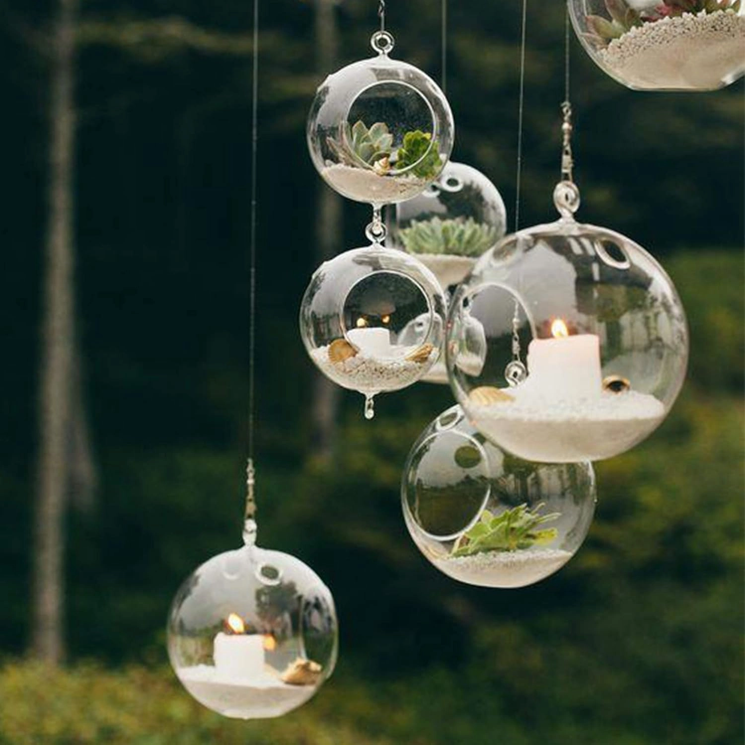 WGV Hanging Terrarium Globe, Width 4", Height 6", Double Hook, DIY Air Succulent Planter, Clear Glass Vase Orb, Candle Holder for Windowsill Outdoor Garden Decor, 1 Piece
